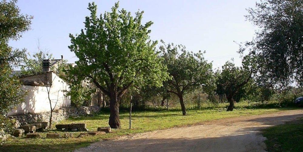 Agriturismo Terra Di Pace Noto Luaran gambar