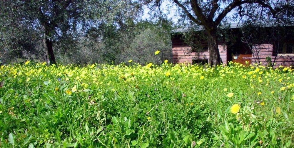 Agriturismo Terra Di Pace Noto Luaran gambar